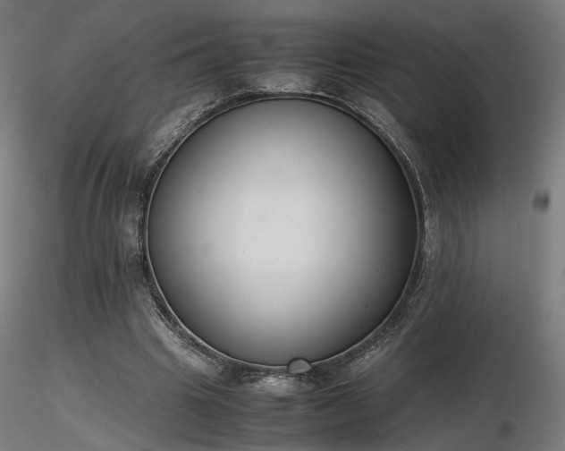 X0000116840441200912181501