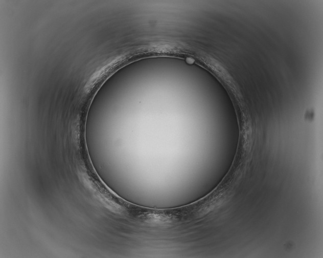 X0000116840442200912181501