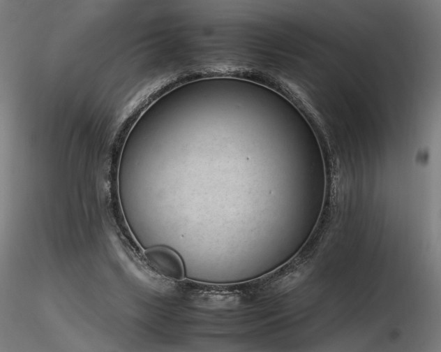 X0000116840443200912181501