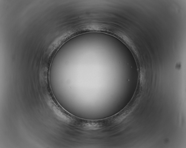 X0000116840445200912181501