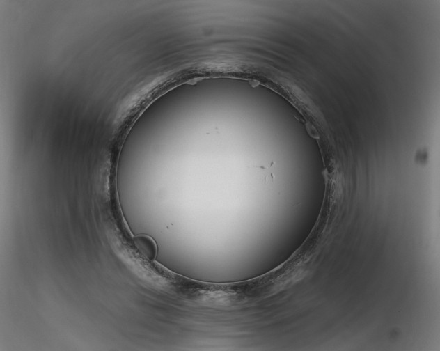 X0000116840446200912181501