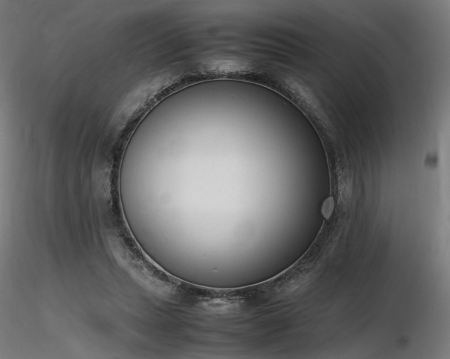X0000116840447200912181501