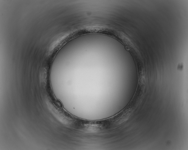 X0000116840448200912181501