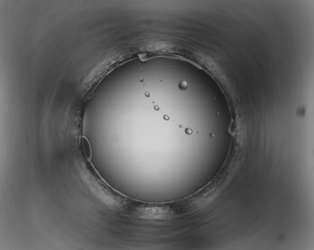 X0000116840449200912181501