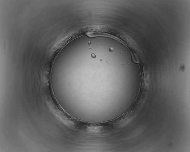 X0000116840450200912181501