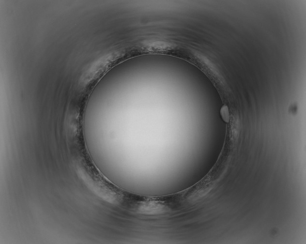 X0000116840451200912181501