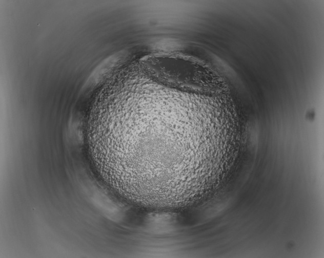X0000116840452200912181501