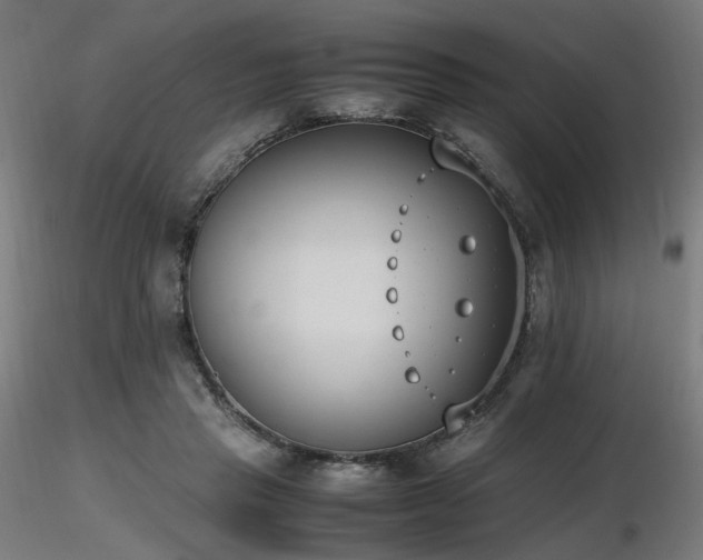 X0000116840453200912181501