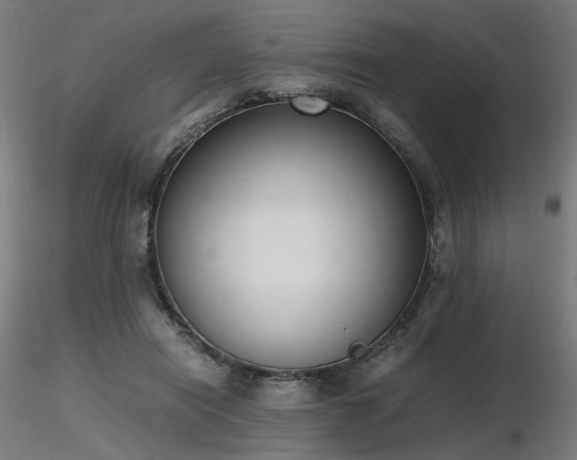 X0000116840454200912181501