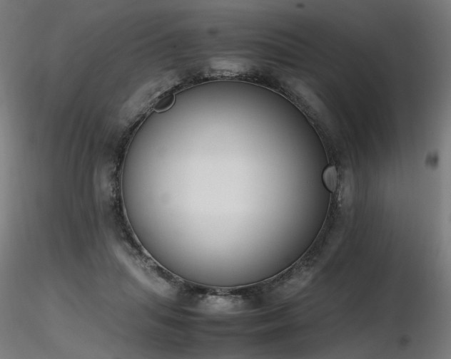 X0000116840455200912181501
