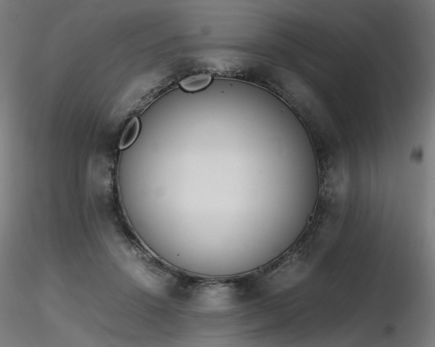 X0000116840456200912181501