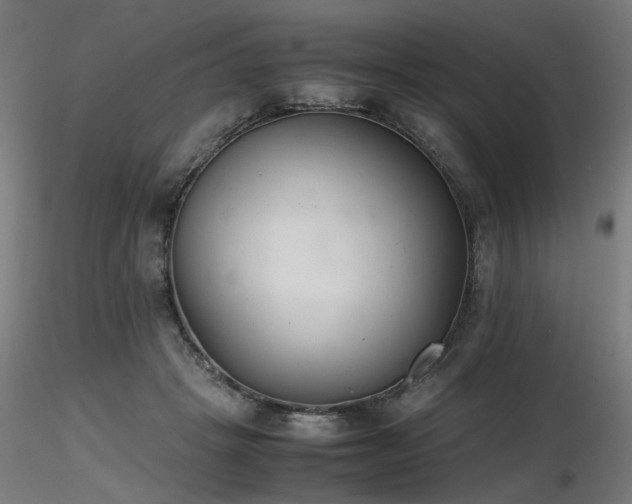 X0000116840457200912181501