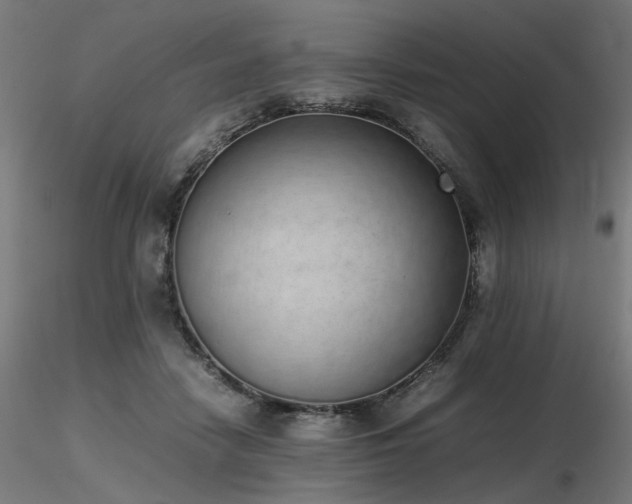 X0000116840458200912181501