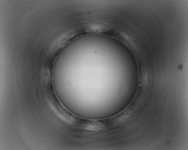 X0000116840459200912181501