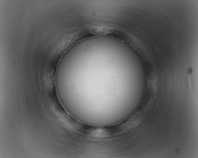 X0000116840460200912181501