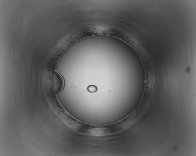 X0000116840461200912181501