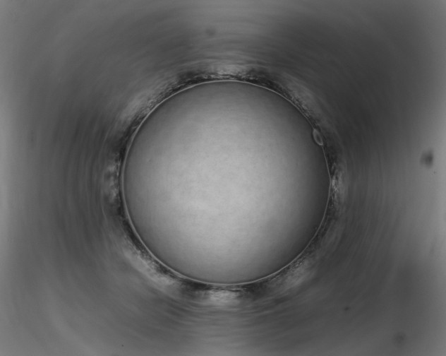 X0000116840462200912181501