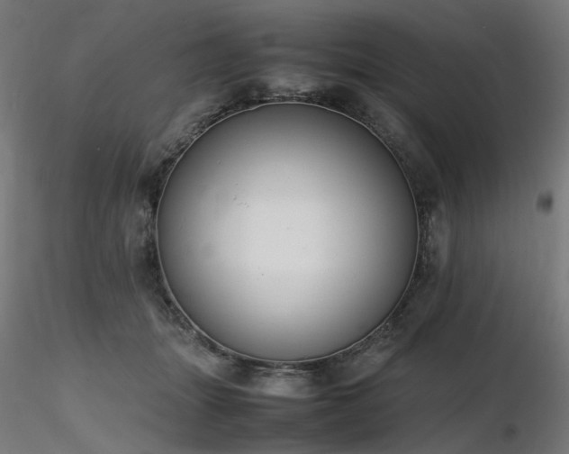 X0000116840463200912181502