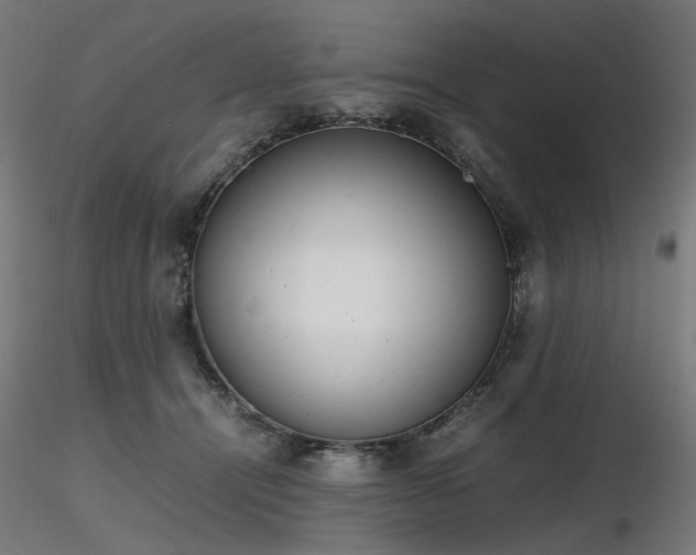 X0000116840464200912181502
