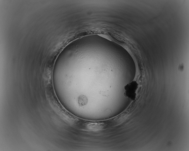 X0000116840465200912181502