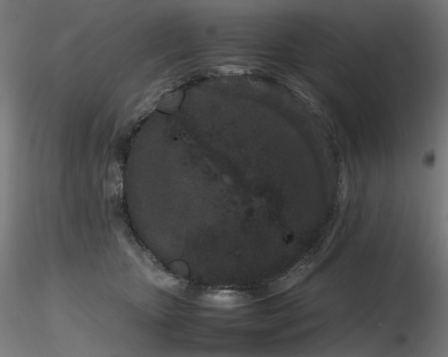 X0000116840467200912181502