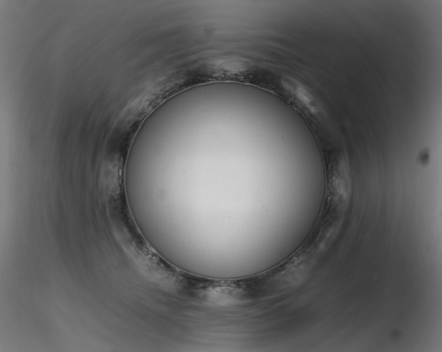 X0000116840468200912181502