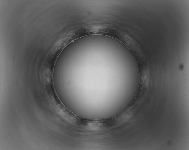 X0000116840470200912181502