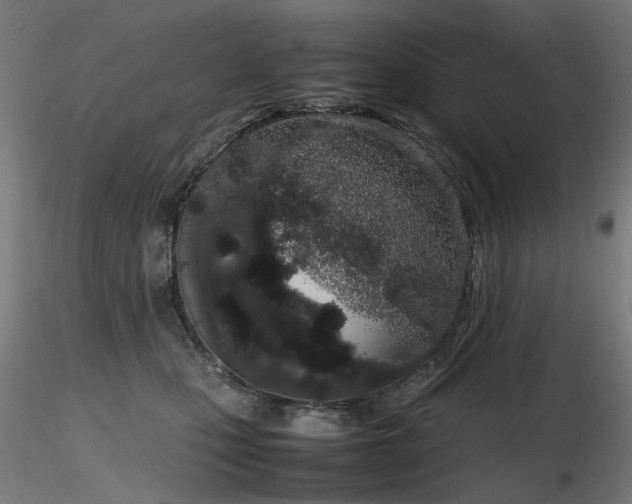 X0000116840471200912181502