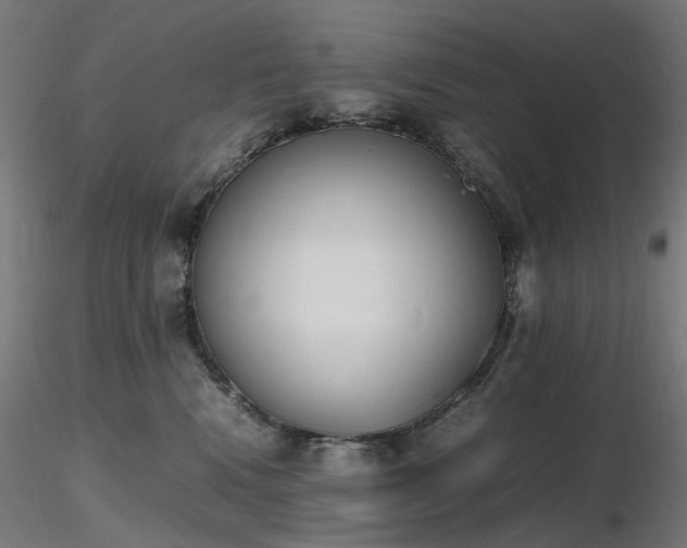 X0000116840472200912181502