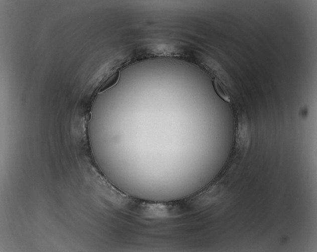 X0000116840473200912181502