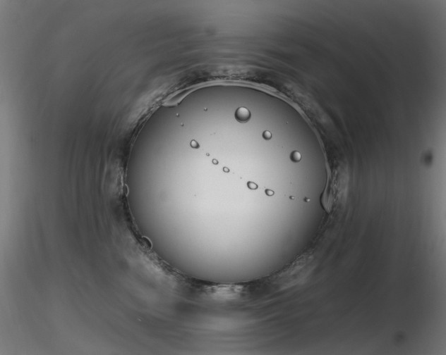 X0000116840474200912181502
