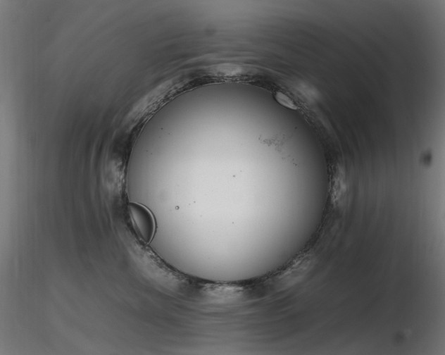 X0000116840476200912181502