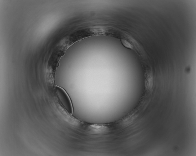 X0000116840477200912181502
