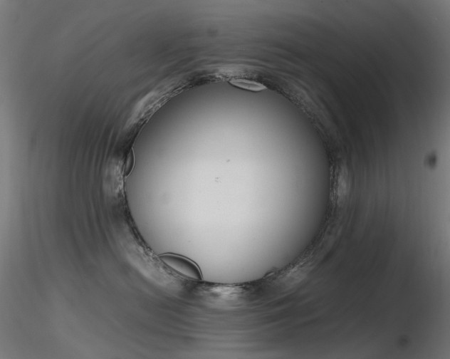 X0000116840478200912181502