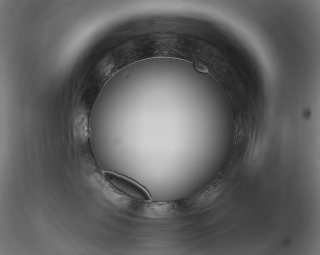 X0000116840479200912181502