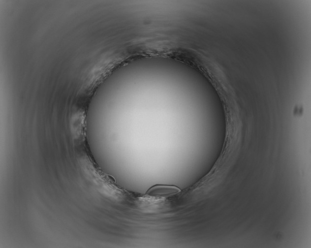 X0000116840480200912181502