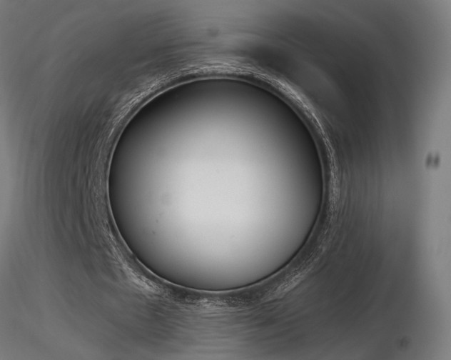 X0000116840481200912181501