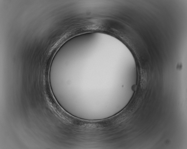 X0000116840482200912181501