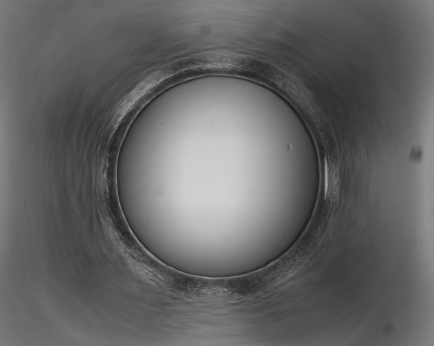 X0000116840483200912181501