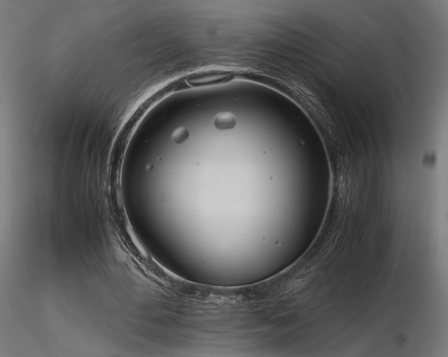 X0000116840484200912181501