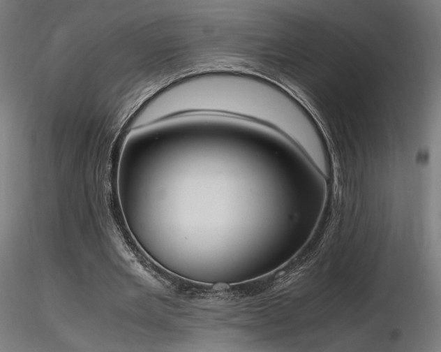X0000116840485200912181501