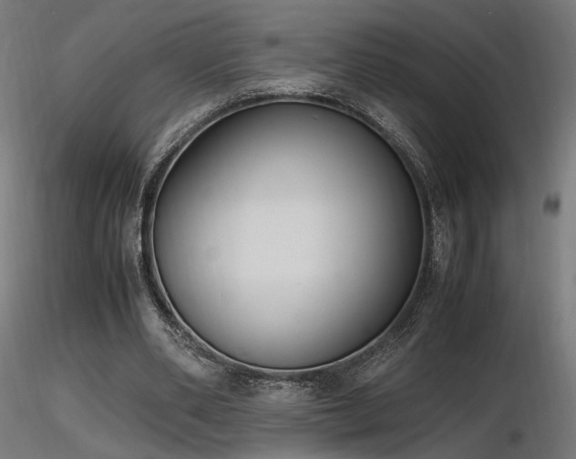 X0000116840486200912181501