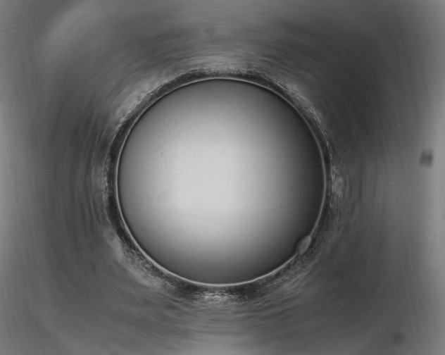 X0000116840487200912181501