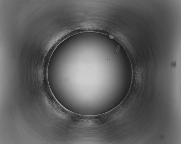 X0000116840488200912181501
