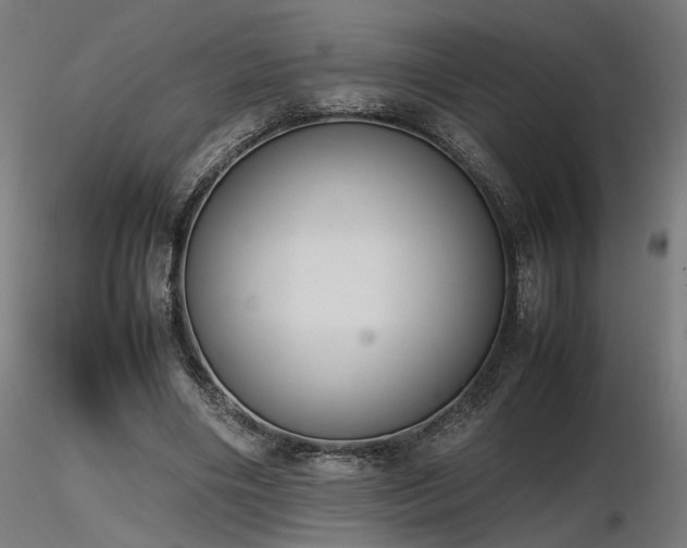 X0000116840490200912181501