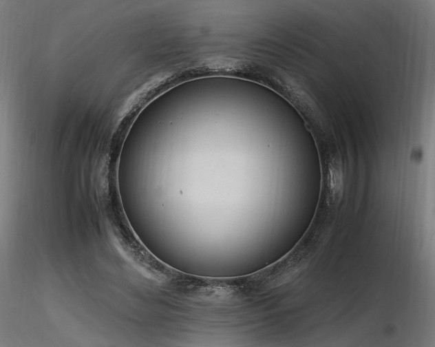 X0000116840492200912181501