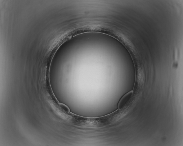 X0000116840493200912181501