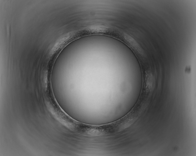 X0000116840494200912181501