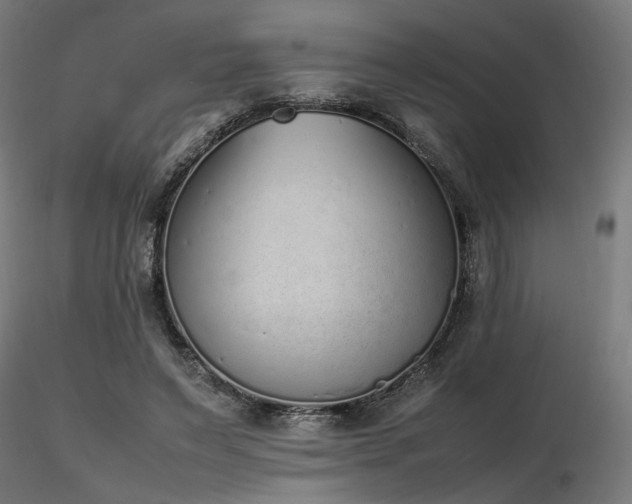 X0000116840495200912181501