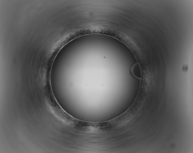 X0000116840496200912181501